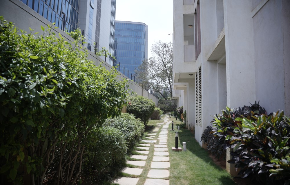 Blog Picture